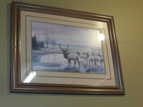 Big Framed Picture of Elk 